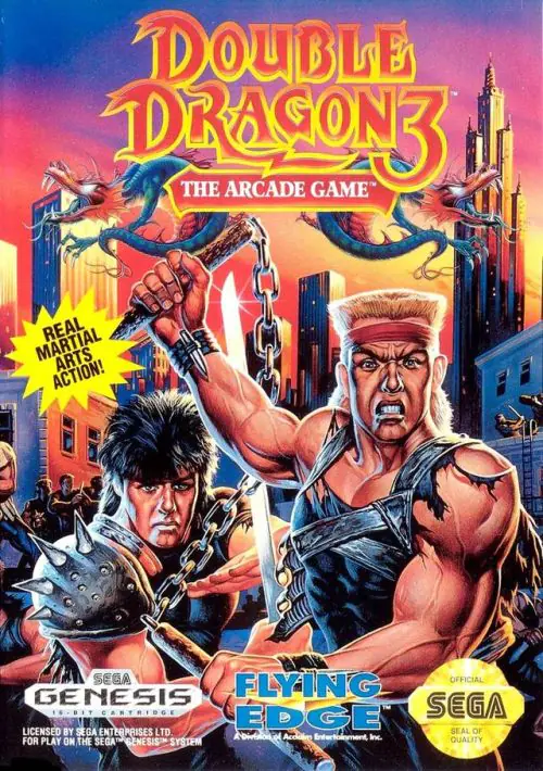 Double Dragon 3 - The Arcade Game ROM Download - Sega Genesis(Megadrive)